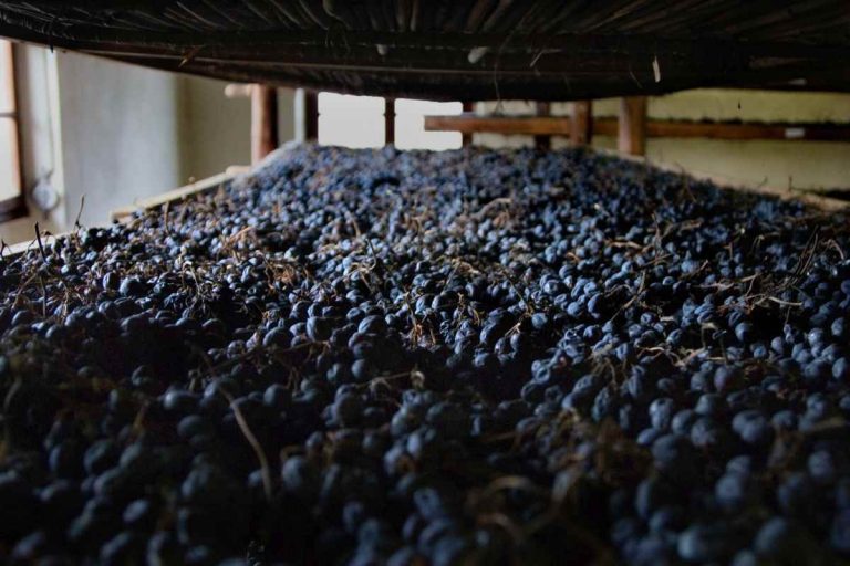 raisin making process from grapes would be interesting for you