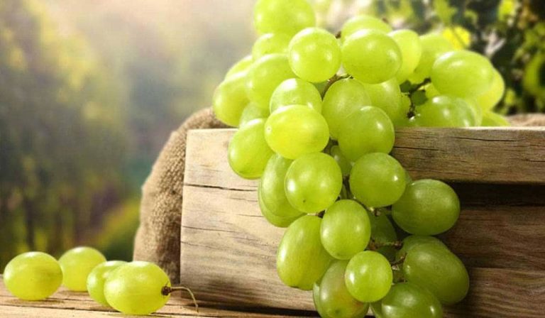 Shine muscat grape price
