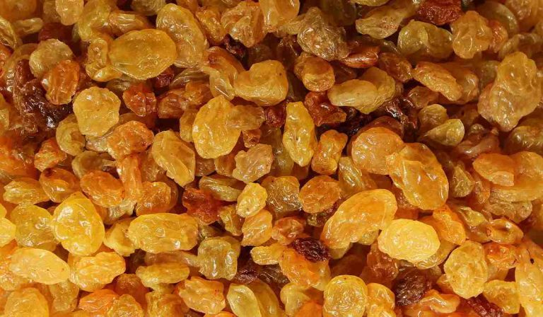 Organic golden raisins bulk