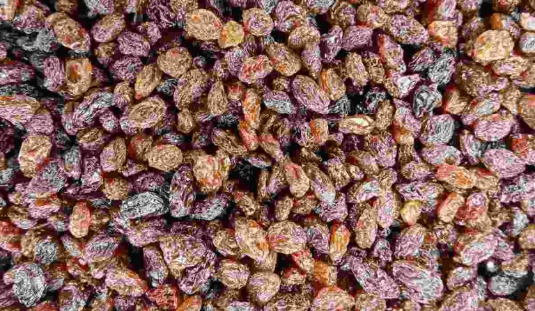 Sultana raisins bulk barn