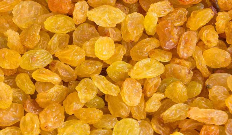 are golden raisins bad for diabetics or healthy