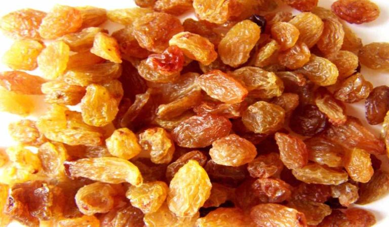 golden raisins wholesale