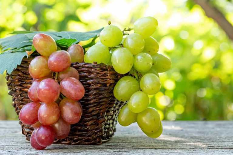 fresh Spanish grapes