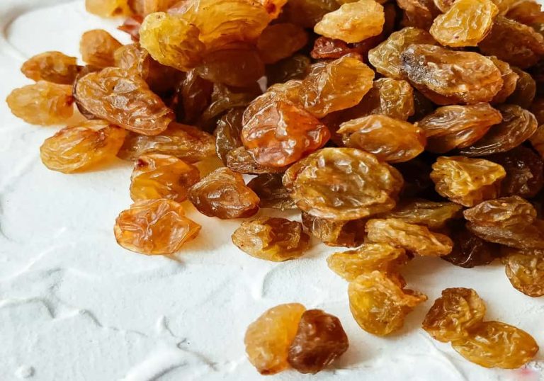 raisin manufacturers in india