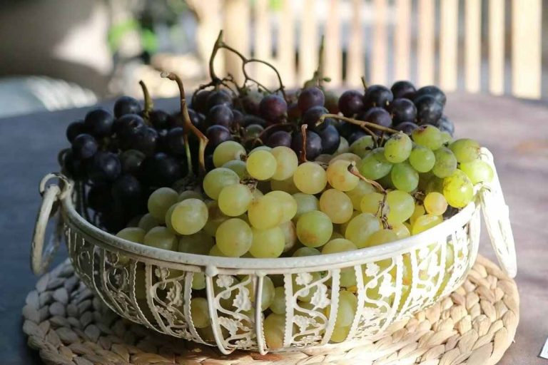 Types of Grapes Raisins