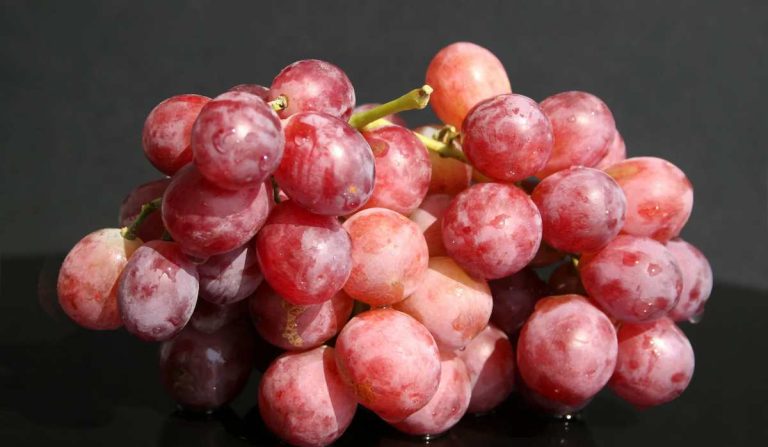 all kinds of grapes