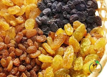 Buy the latest types of dried raisins for dogs