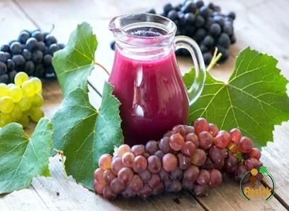 donelli grape juice buying guide + great price