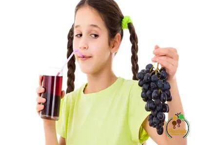 concord grape juice price + wholesale and cheap packing specifications