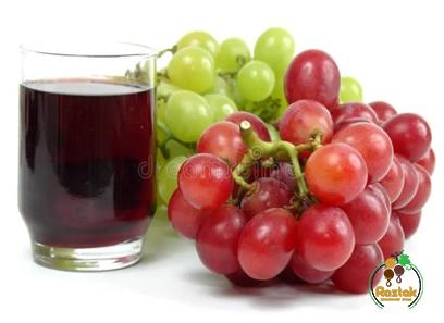 grape juice diy buying guide + great price