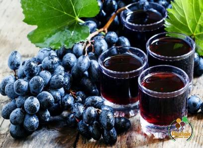 voyager estate red grape juice | Buy at a cheap price