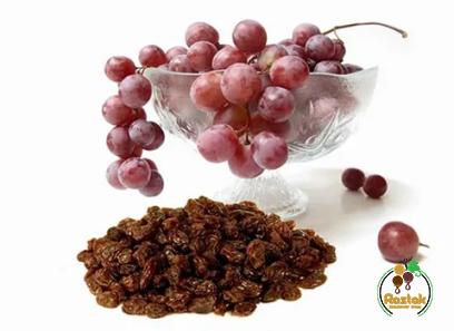 brown raisins in pregnancy purchase price + user guide