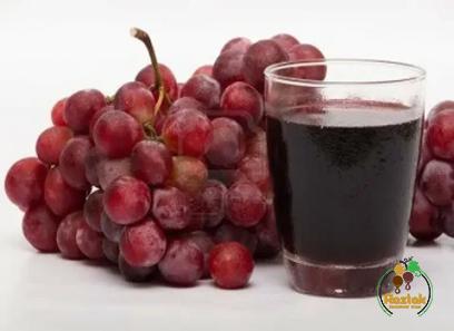 grape juice and pregnancy purchase price + preparation method