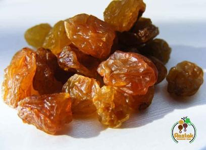 Buy all kinds of sun dried raisin at the best price